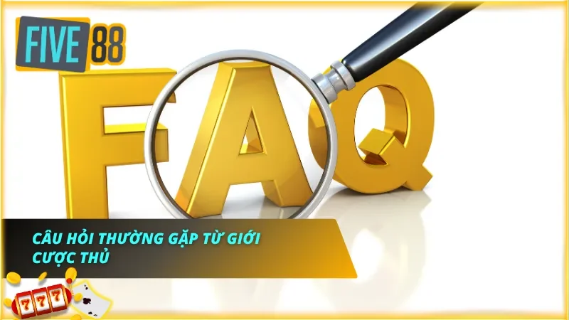 Phản hồi từ cộng đồng