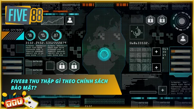 Những thông tin dữ liệu cá nhân mà nhà cái thu thập theo chính sách