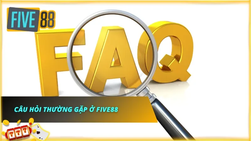 Các phản hồi từ người tham gia