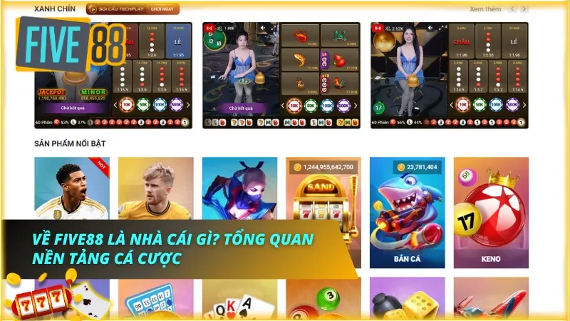 Giới thiệu về nhà cái đang đứng đầu thị trường và tổng quan về hệ thống